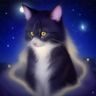 用户霓虹夜猫子的头像